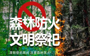 清明節(jié)：文明祭奠、預防火災